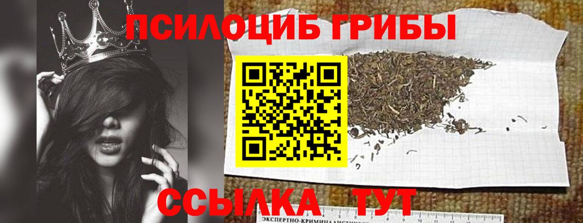 Наро-Фоминск  Галлюциногенные грибы GOLDEN TEACHER  наркота  Вход с VPN 